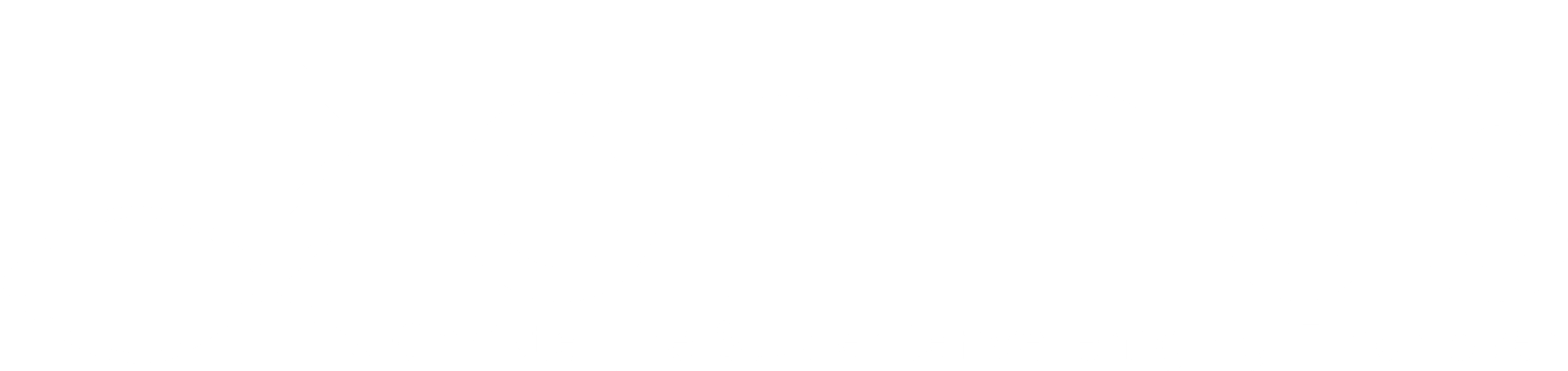 logo C.S.V. Ichthus Eindhoven wit